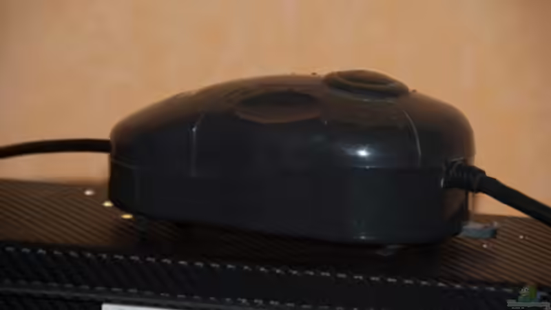 Technik im Aquarium L 201 von Cichlid Power (12)