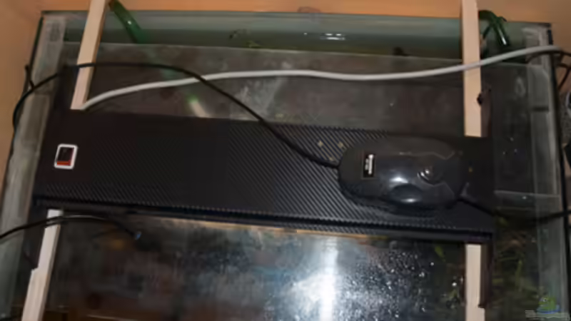 Technik im Aquarium L 201 von Cichlid Power (8)