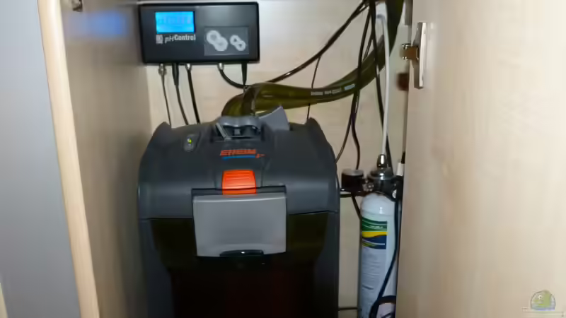 Technik im Aquarium L-Design Bondo von Gabriela Iseli (6)