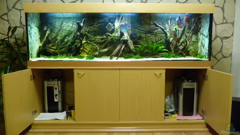 Technik im Aquarium Lago Pampo (aufgelöst) von carkl (17)