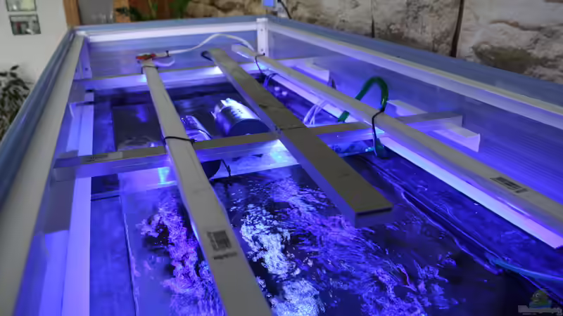 Technik im Aquarium Lake Malawi 2.0 von skipper1202 (16)
