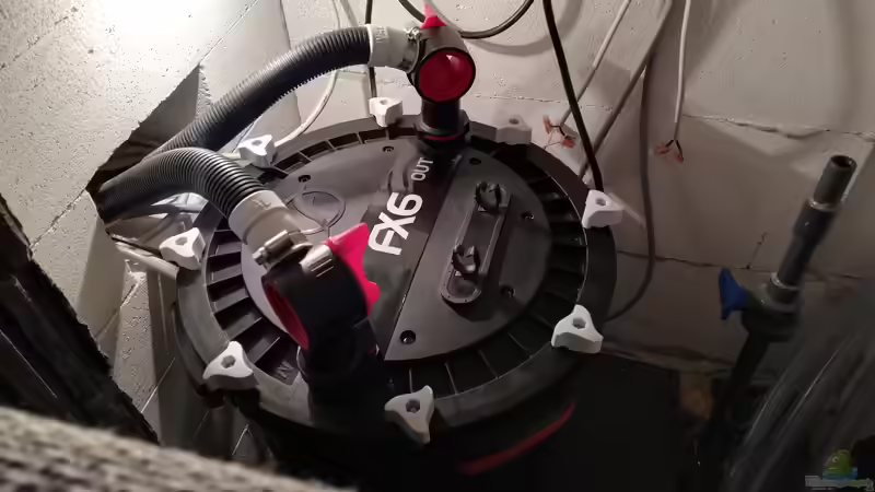 Technik im Aquarium Lavabruch von Gartenfuxx (11)