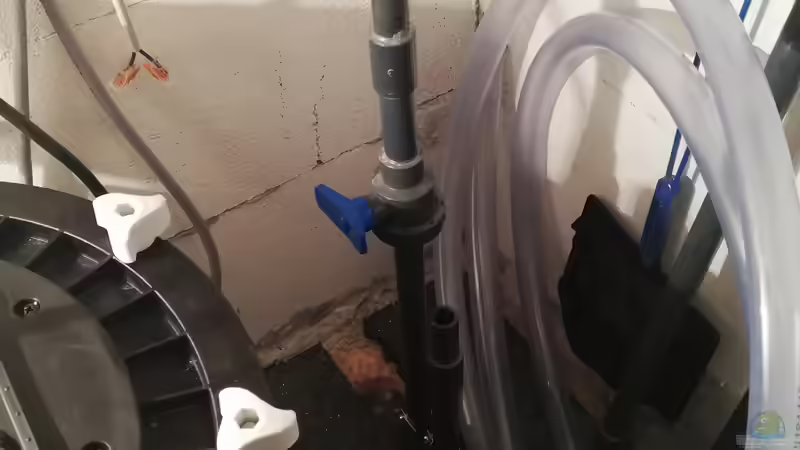 Technik im Aquarium Lavabruch von Gartenfuxx (12)