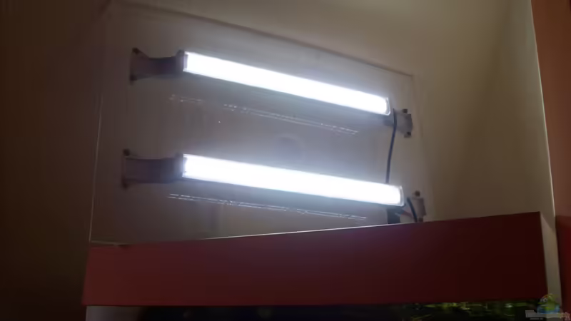 Technik im Aquarium Lido 120 von mucki (8)