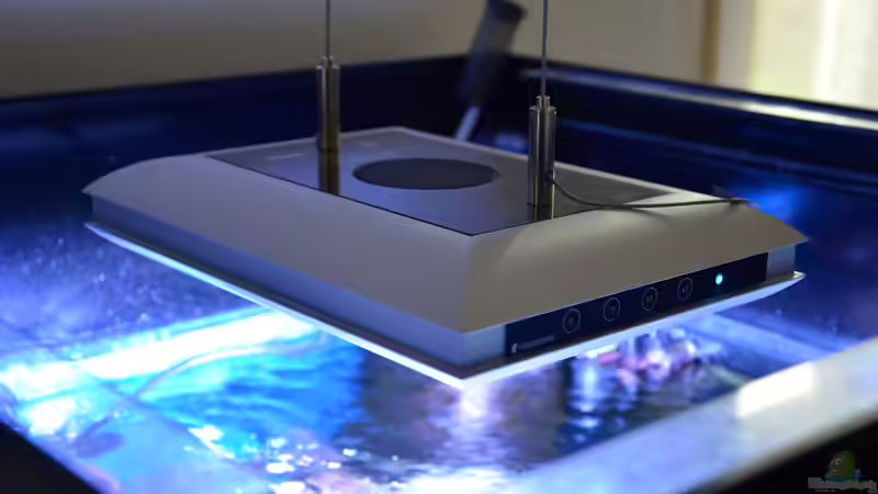 Technik im Aquarium Little Sea von MW Luca (18)