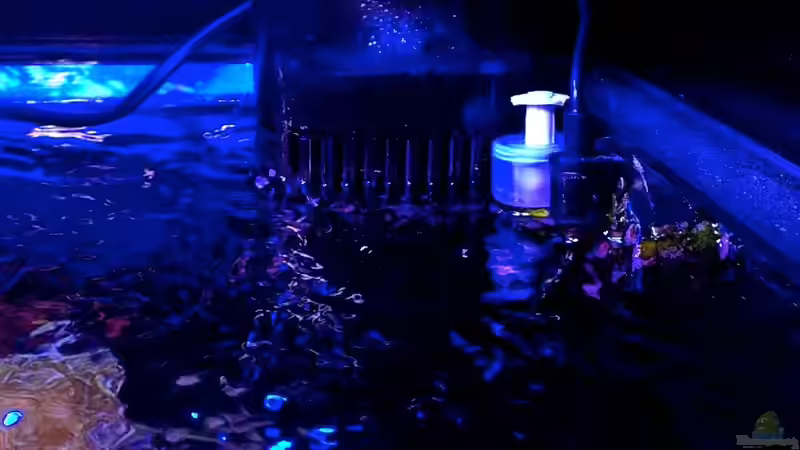 Technik im Aquarium Little Sea von MW Luca (19)