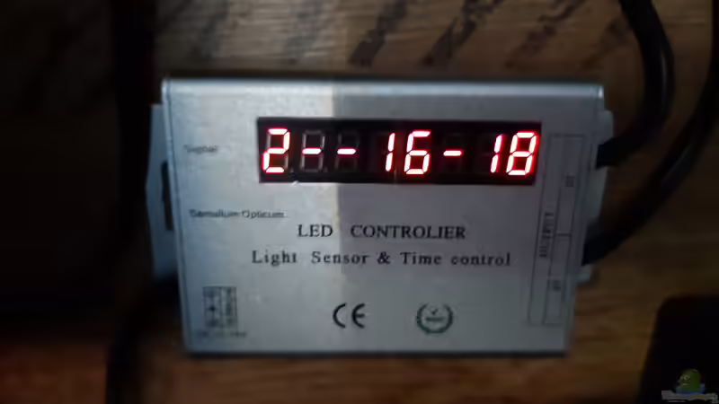 Technik im Aquarium LittleSalmlerforest von Lopar1986 (14)