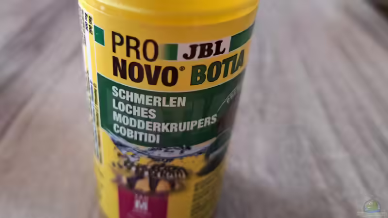 Technik im Aquarium Loaches again von okefenokee (15)