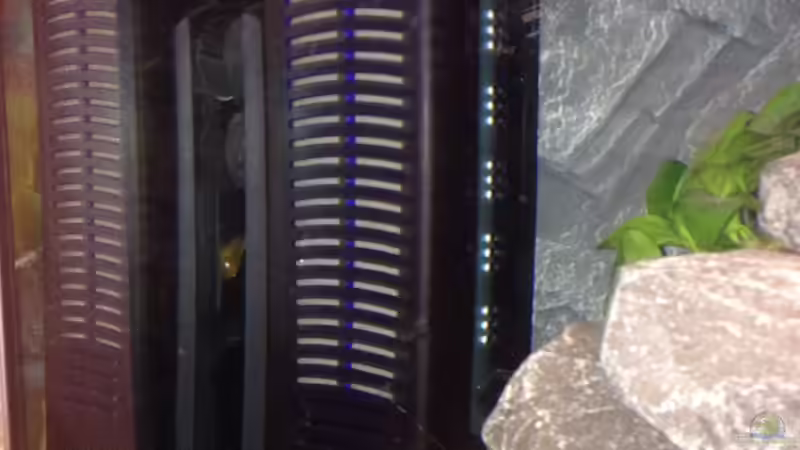 Technik im Aquarium Longior Rocks von Mueller76 (4)