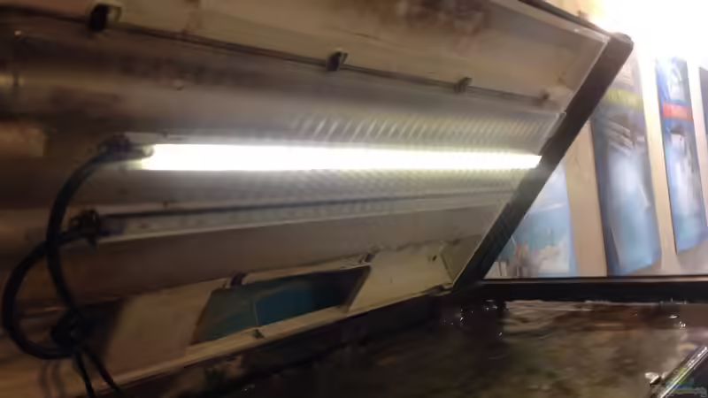 Technik im Aquarium Longior Rocks von Mueller76 (5)