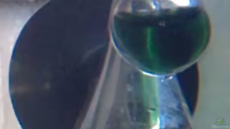 Technik im Aquarium Märchenwald von Capitan Hook (32)