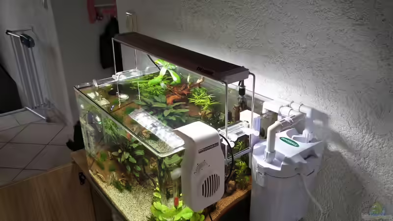 Technik im Aquarium Märchenwald von Solvin (32)