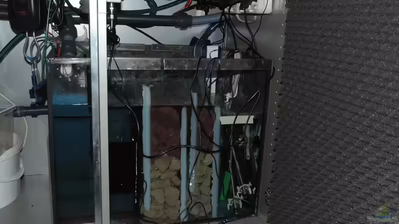 Technik im Aquarium Malawi - Showbecken von TimBo1781 (10)