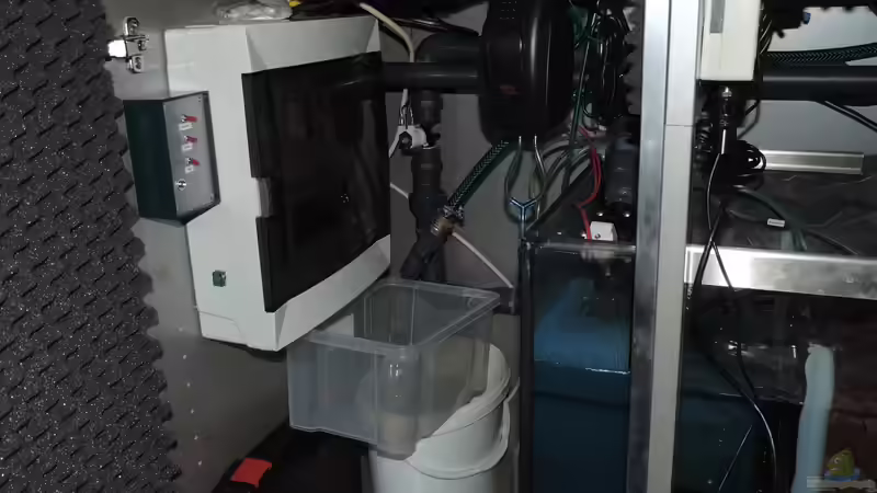 Technik im Aquarium Malawi - Showbecken von TimBo1781 (9)