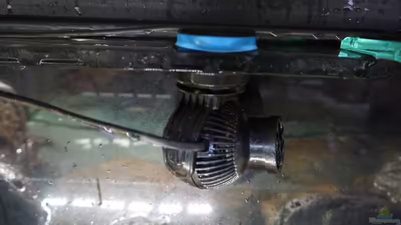 Technik im Aquarium Malawi 2 (aufgelöst, nur noch Beispiel ) von andreas32 (53)