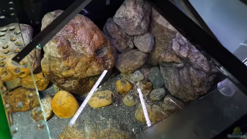 Technik im Aquarium Malawi 2 (aufgelöst, nur noch Beispiel ) von andreas32 (56)