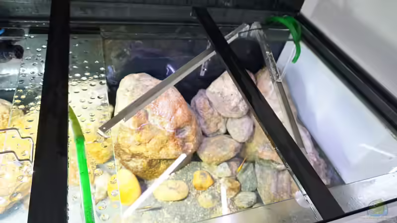 Technik im Aquarium Malawi 2 (aufgelöst, nur noch Beispiel ) von andreas32 (57)