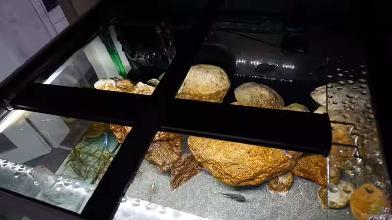 Technik im Aquarium Malawi 2 (aufgelöst, nur noch Beispiel ) von andreas32 (58)