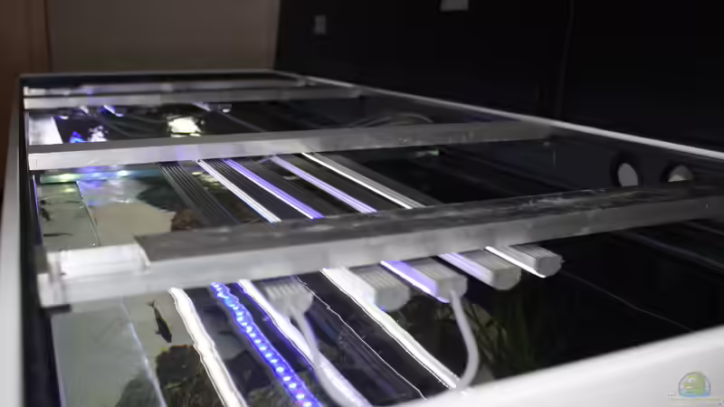 Technik im Aquarium Malawi 576l von Timo Ewert (4)