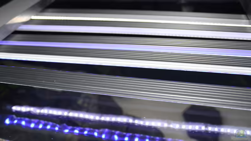 Technik im Aquarium Malawi 576l von Timo Ewert (6)