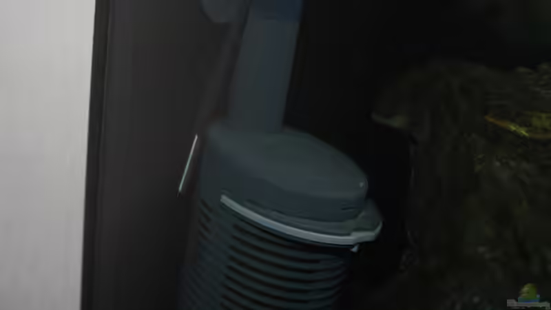 Technik im Aquarium Malawi 576l von Timo Ewert (8)