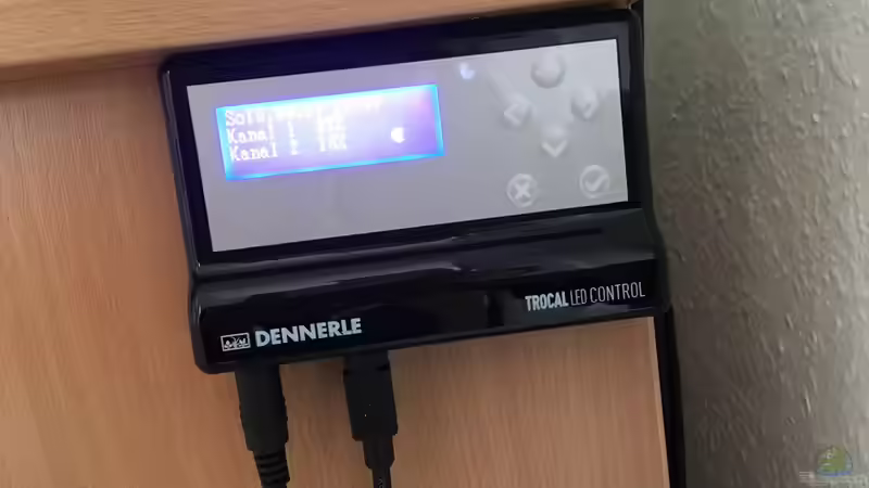 Technik im Aquarium Malawi Becken von Stefan Neubert (2)