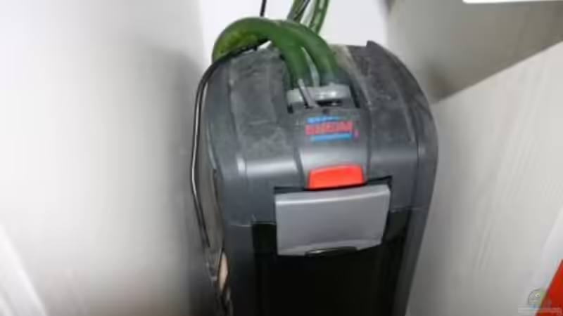 Technik im Aquarium Malawi Becken von Yves Luchsinger (11)