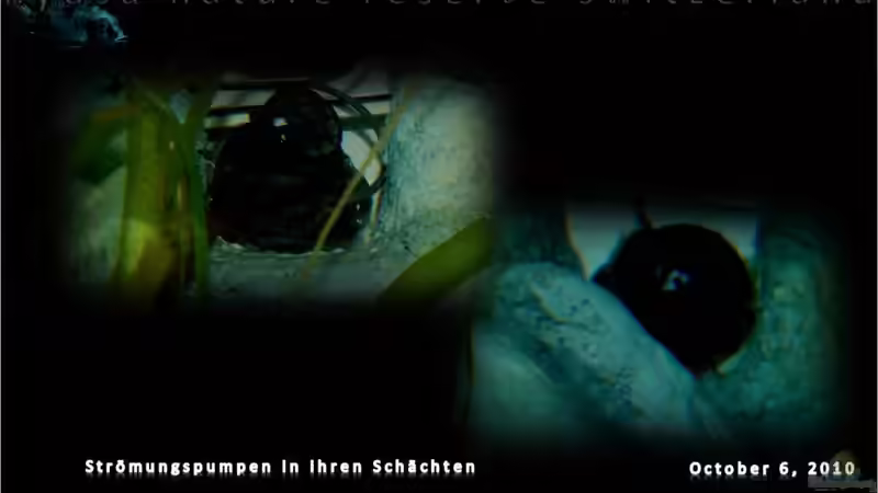 Technik im Aquarium malawi cane brake (nur noch als Beispiel) von Der Schweizer (25)