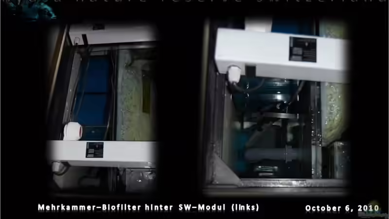 Technik im Aquarium malawi cane brake (nur noch als Beispiel) von Der Schweizer (27)