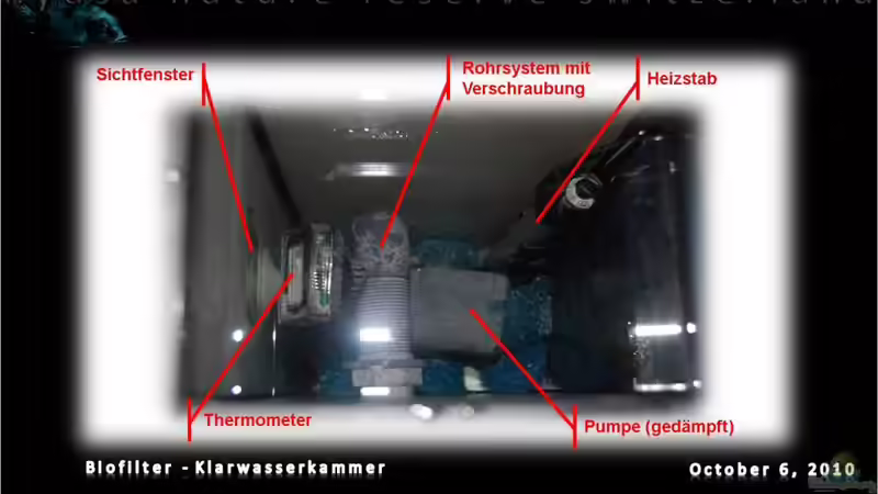 Technik im Aquarium malawi cane brake (nur noch als Beispiel) von Der Schweizer (29)