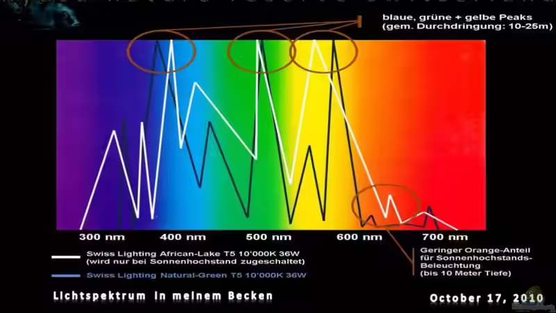Technik im Aquarium malawi cane brake (nur noch als Beispiel) von Der Schweizer (32)