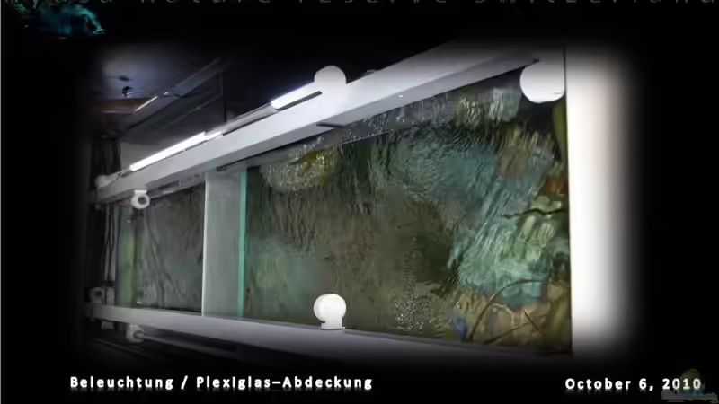 Technik im Aquarium malawi cane brake (nur noch als Beispiel) von Der Schweizer (33)