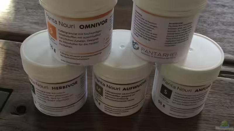 Technik im Aquarium Malawi Geröllzone von Lippi (24)