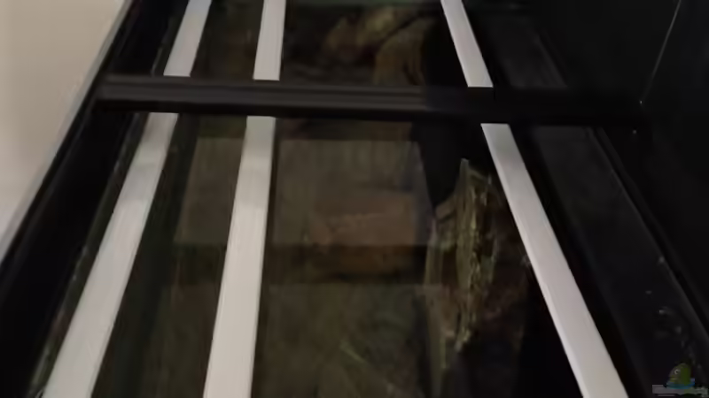 Technik im Aquarium Malawi Harmony von Vidi (7)