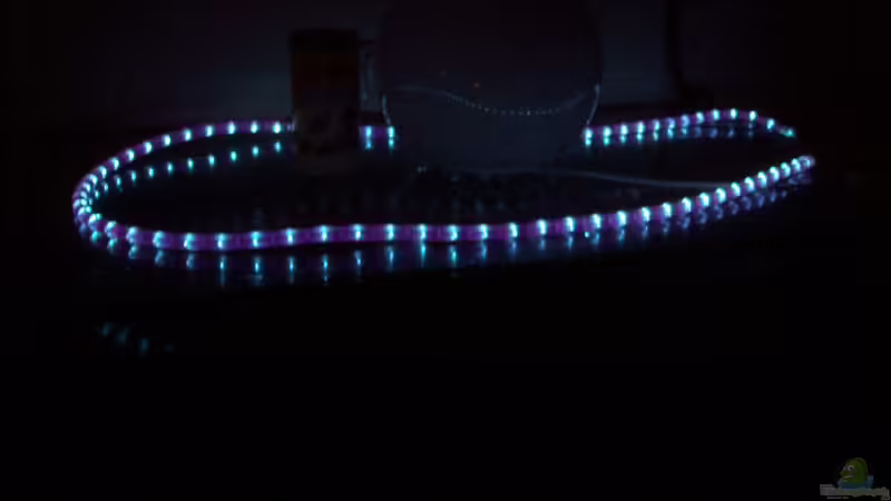 Technik im Aquarium Malawi-Marmor von BRANDNEW (11)