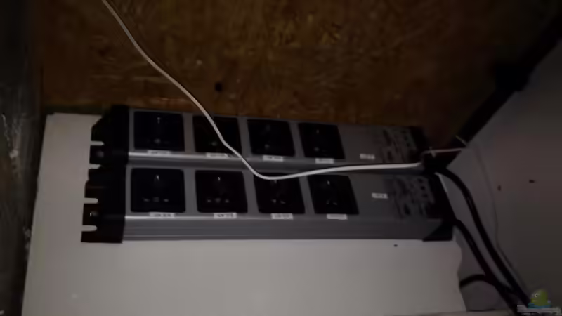 Technik im Aquarium Malawi Reef von Tobias Sch. (51)