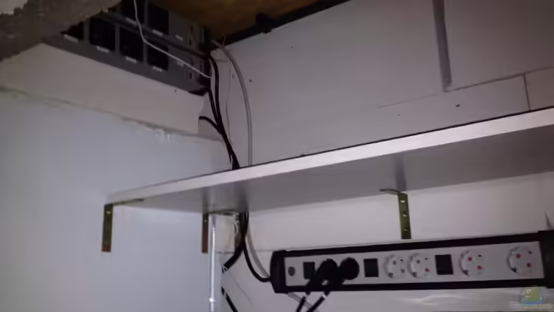 Technik im Aquarium Malawi Reef von Tobias Sch. (52)