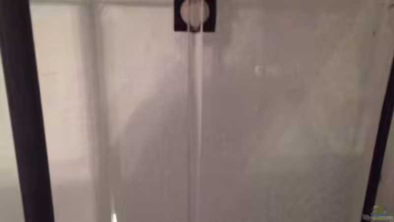 Technik im Aquarium Malawi Reef von Tobias Sch. (55)