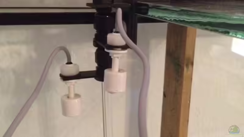 Technik im Aquarium Malawi Reef von Tobias Sch. (57)