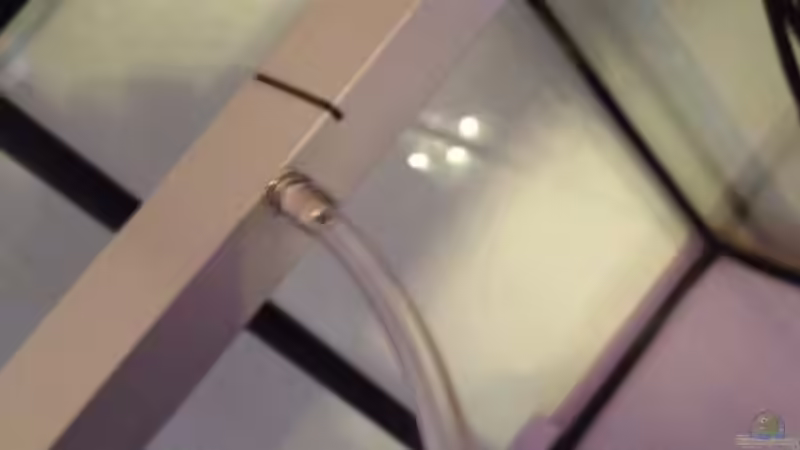 Technik im Aquarium Malawi Reef von Tobias Sch. (59)