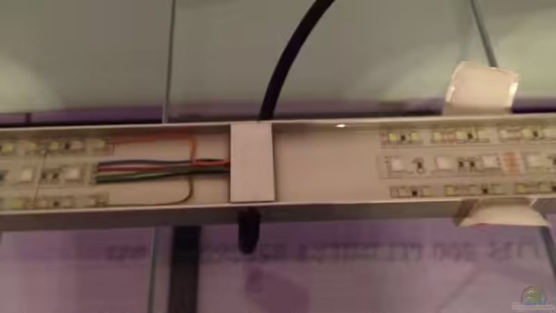 Technik im Aquarium Malawi Reef von Tobias Sch. (60)