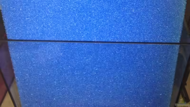 Technik im Aquarium Malawi Reef von Tobias Sch. (63)