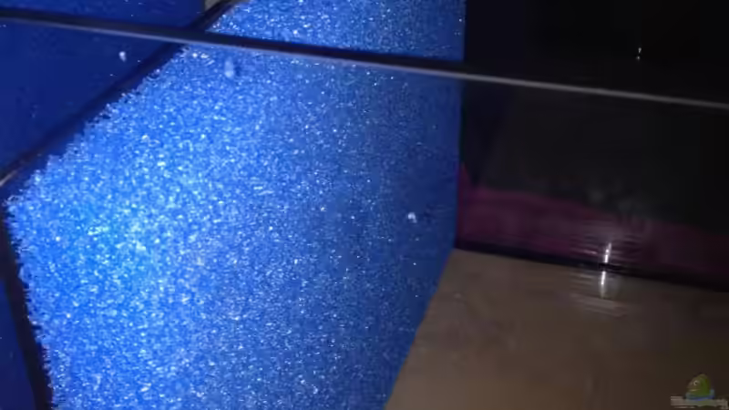 Technik im Aquarium Malawi Reef von Tobias Sch. (64)