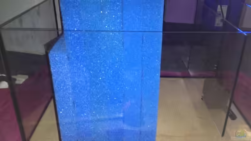 Technik im Aquarium Malawi Reef von Tobias Sch. (65)