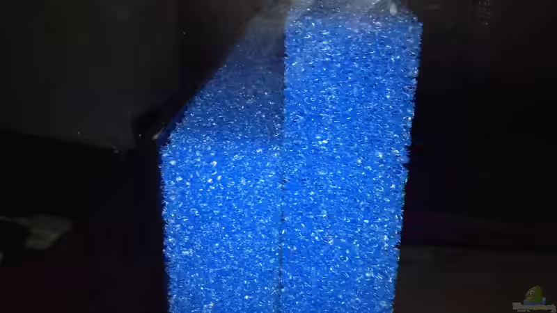 Technik im Aquarium Malawi Reef von Tobias Sch. (66)