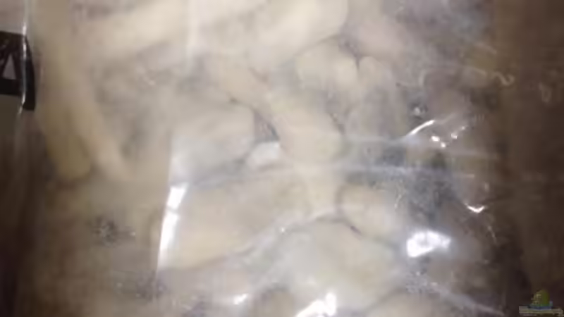 Technik im Aquarium Malawi Reef von Tobias Sch. (68)