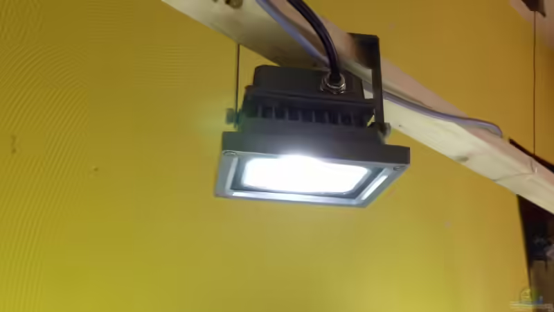 Technik im Aquarium Malawi Tank von EL_LOCO (3)