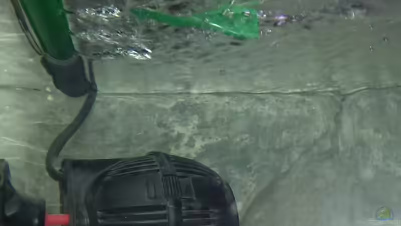 Technik im Aquarium Malawi Vision 450 Anfang von Marcel R. (11)