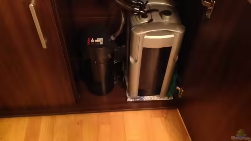 Technik im Aquarium Malawi von Aquaflo (11)