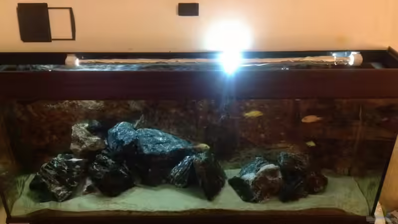 Technik im Aquarium Malawi von Aquaflo (14)